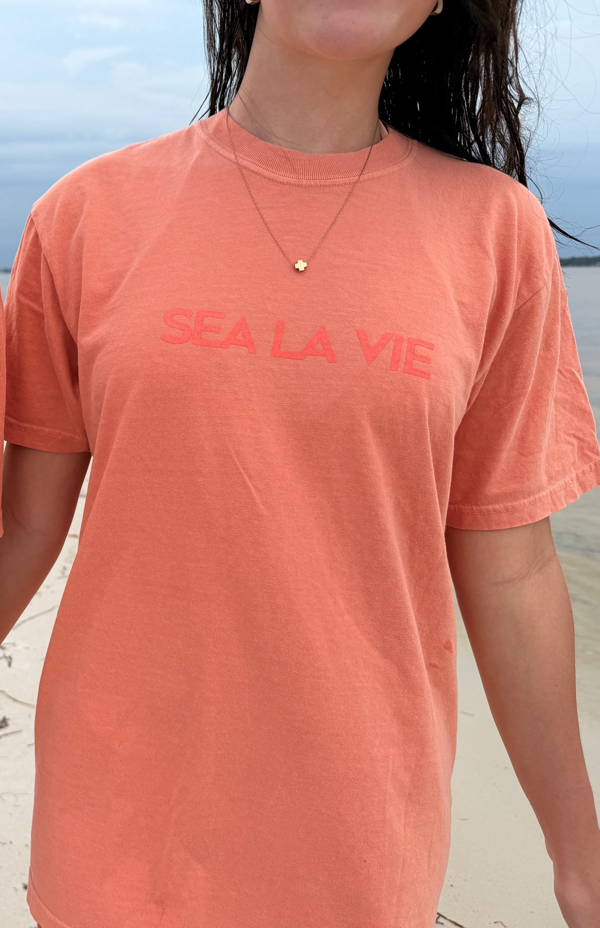 Sea La Vie - Terracotta Comfort Colors